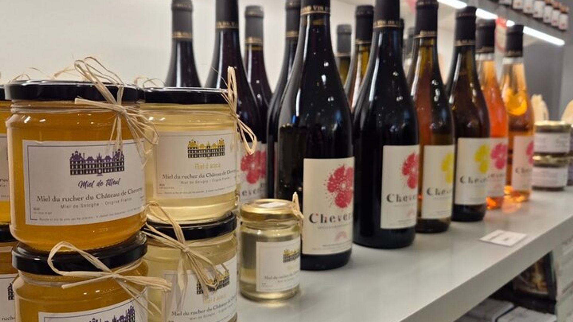 Visite privée des châteaux de la Loire au départ de Paris en minivan