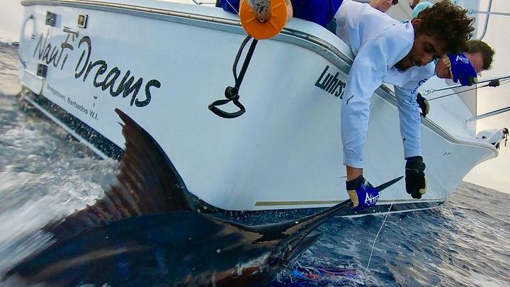 Half-day Fishing Trip Onboard a Barbados Luxury Charter