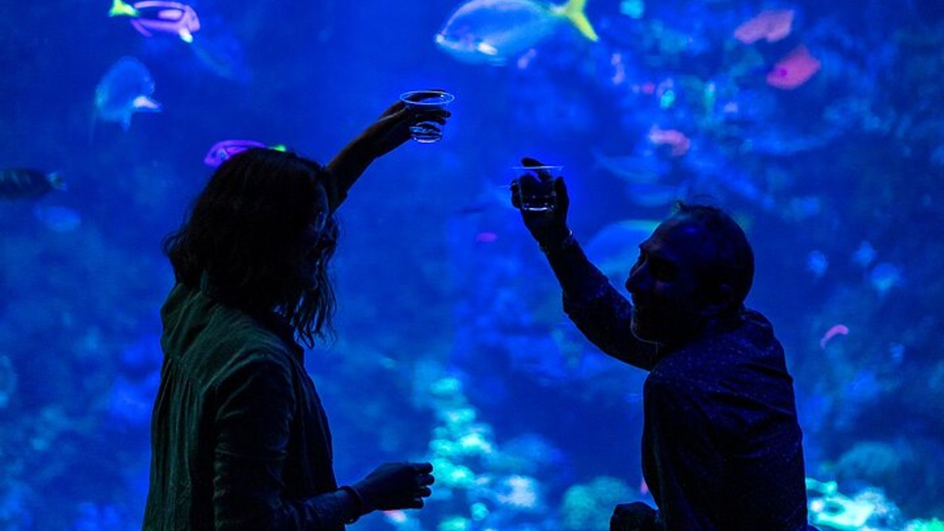 California Academy of Sciences NightLife Plus Admission Ticket image 2