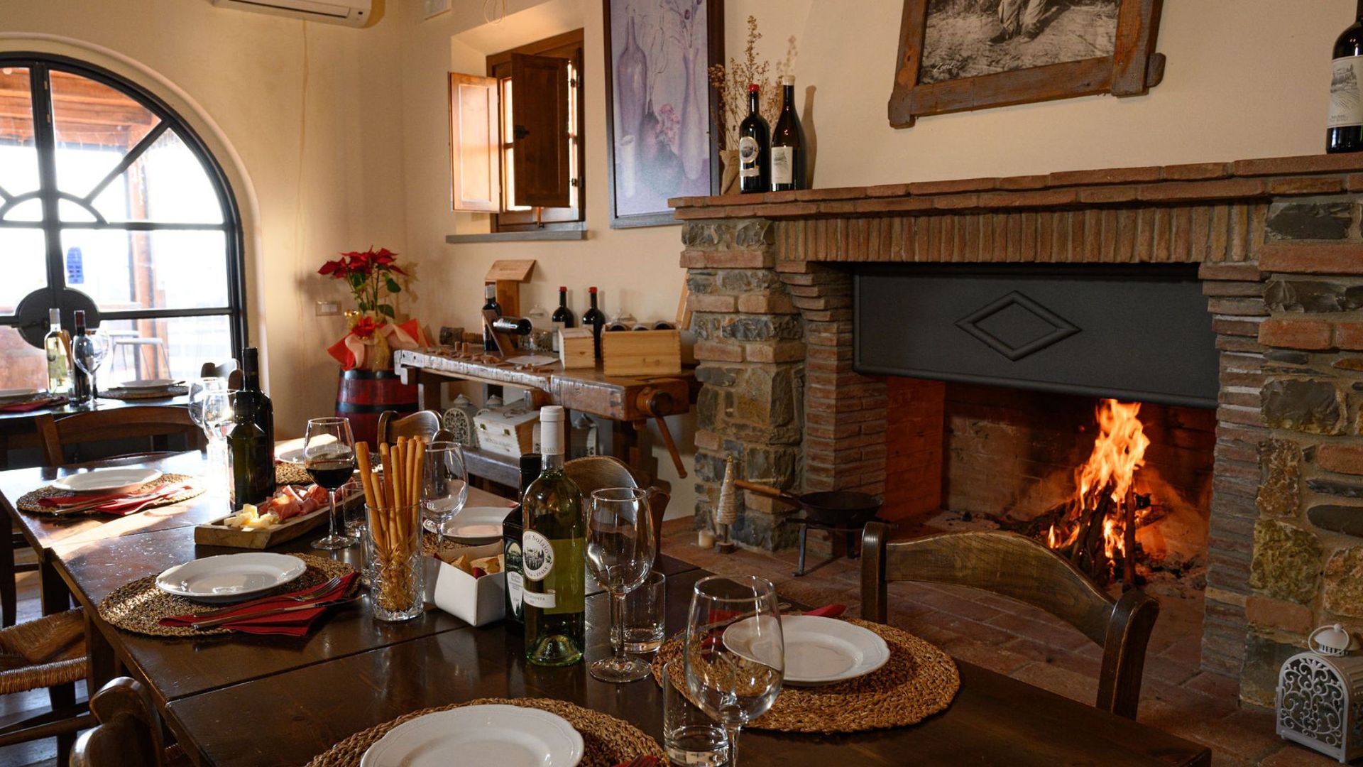 Wine Tasting with Local Food Pairing near Livorno