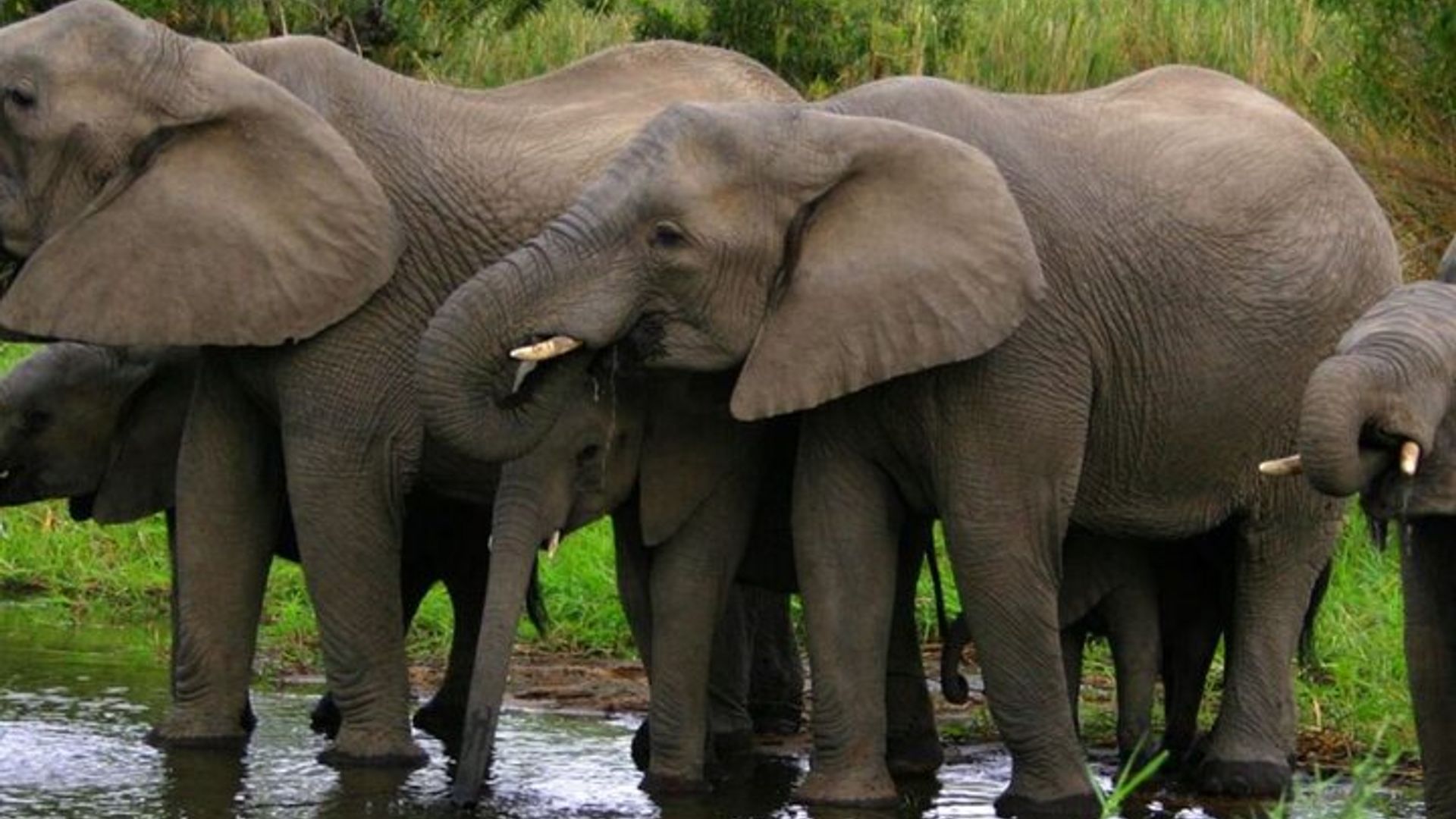 Visite en petit groupe de 6 jours de la Route des jardins Fr CapeTown - Départs tous les jours