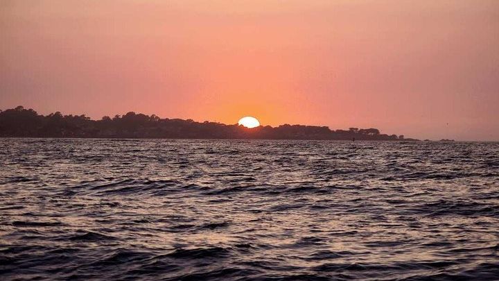 Monterey Bay: Sunset Sailing Cruise With Drinks & Snacks