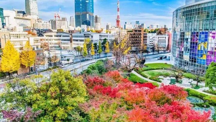 Tokyo Private and Customizable Car Tour with Hotel Pickup