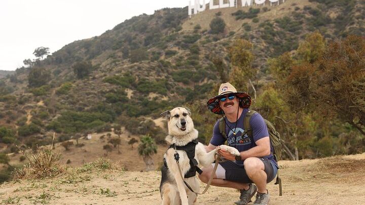 Hollywood Sign 2.5-Hour Tour with Comedians and Their Dogs
