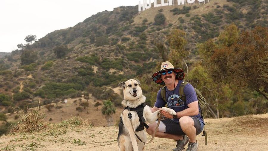 Hollywood Sign 2.5-Hour Tour with Comedians and Their Dogs
