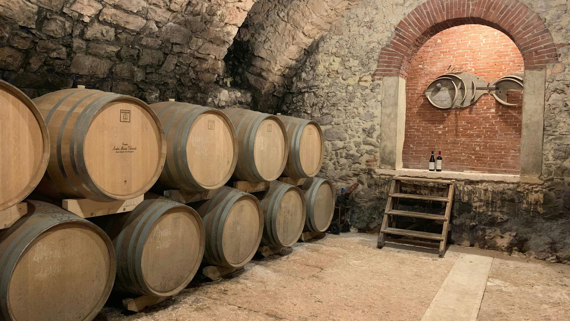 Valpolicella private tour with olive oil tasting