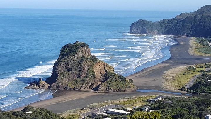 Waitakere Ranges and Piha Beach Afternoon Tour From Auckland