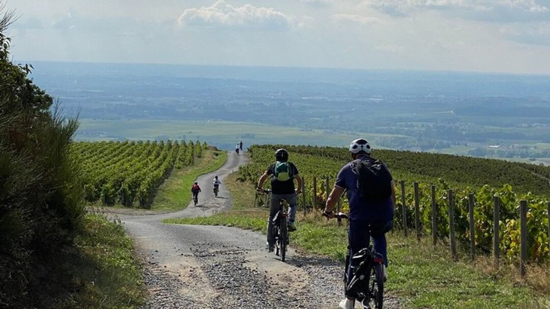 A la découverte des crus du Beaujolais | Tour guidé