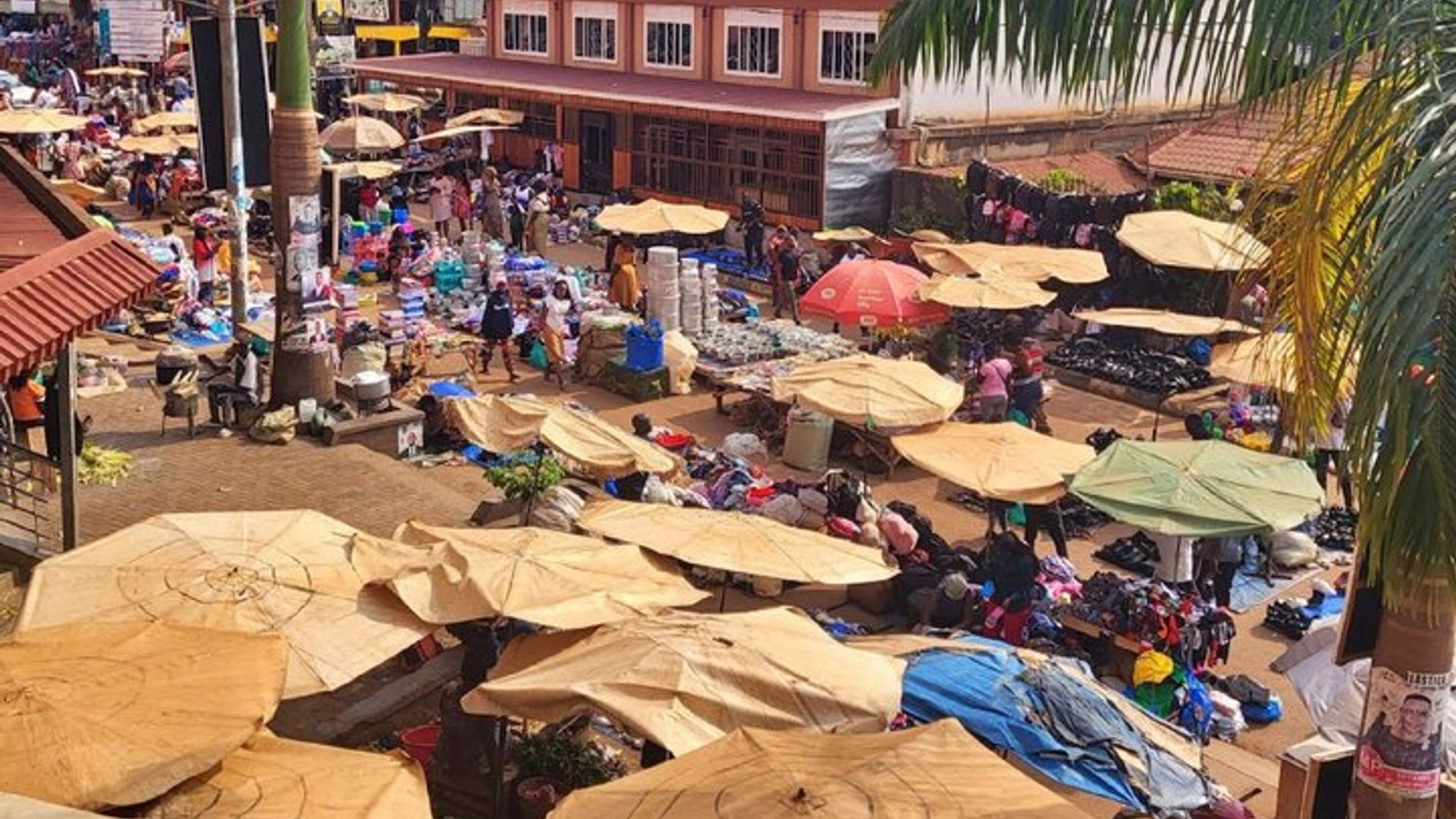 ทัวร์เดินชมเมืองเอนเทบเบ ประวัติศาสตร์ตลาด และสวนพฤกษศาสตร์