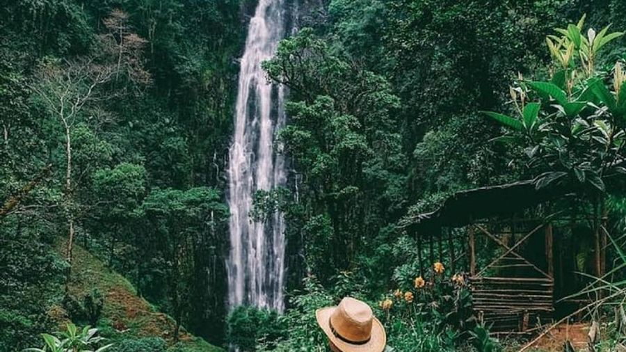 Materuni Waterfalls, coffee tour & Kikuletwa Hot Springs