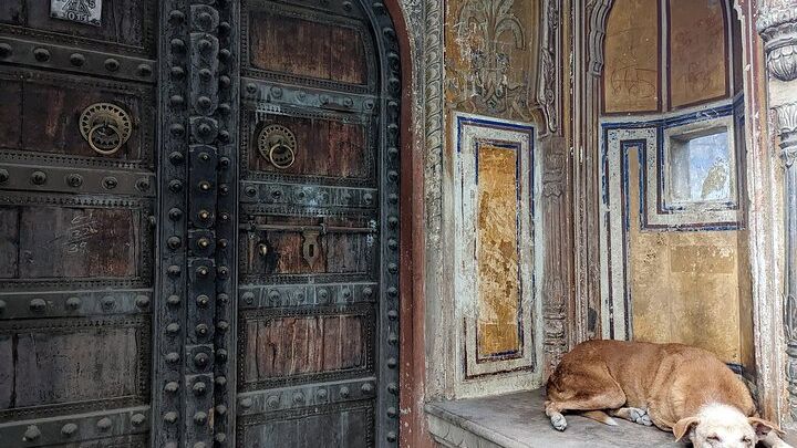 Small-Group Evening Tour of Jaipur