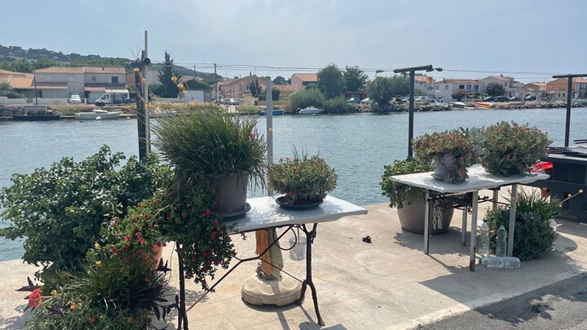 Excursión de un día a Sète: Visita a Sète, ostras y vino