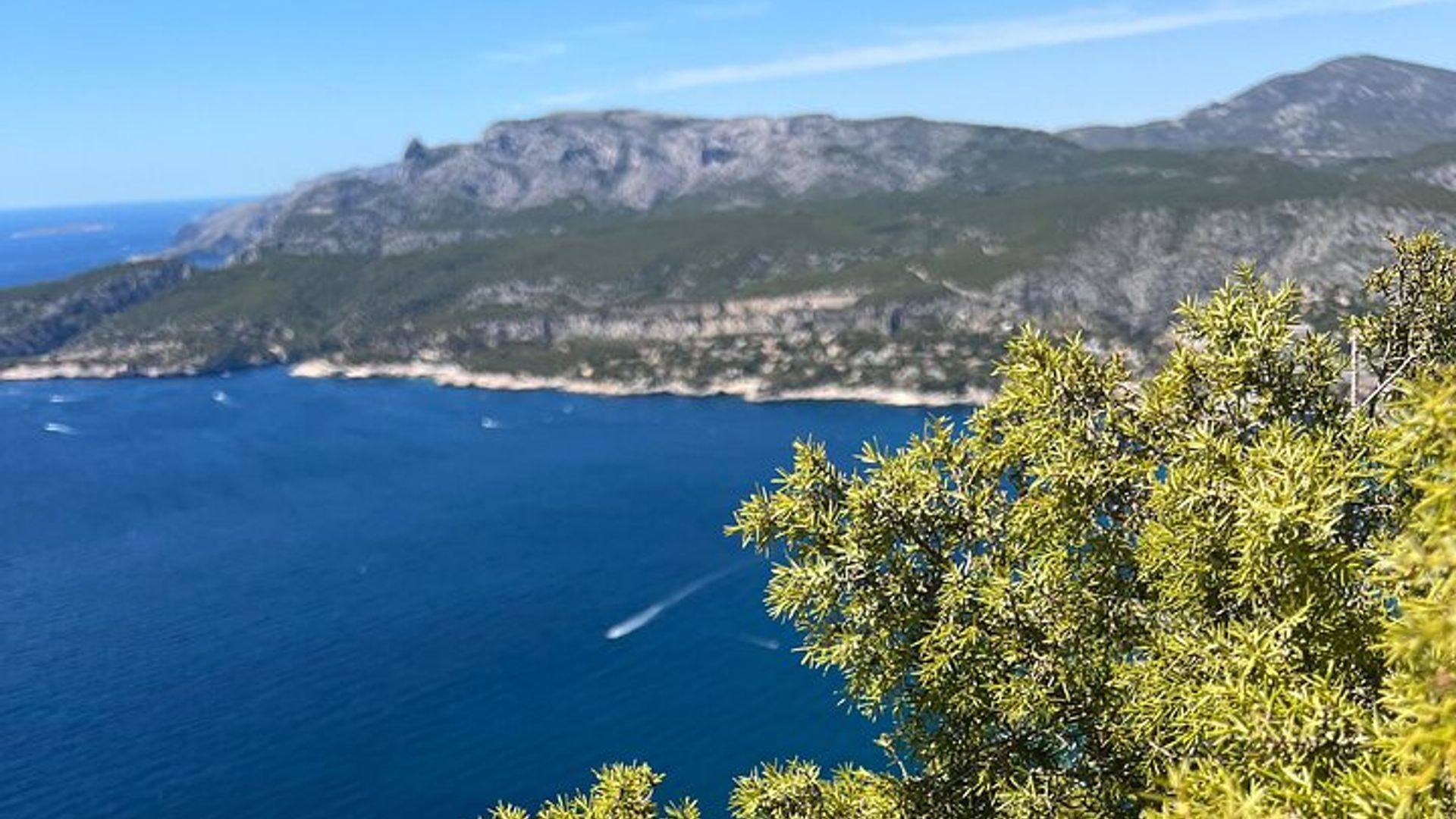 Visite Authentique à la Découverte de La Ciotat
