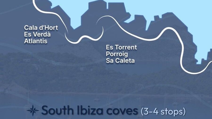Ibiza Private Catamaran Trip to Atlantis and Cala d'Hort Beach