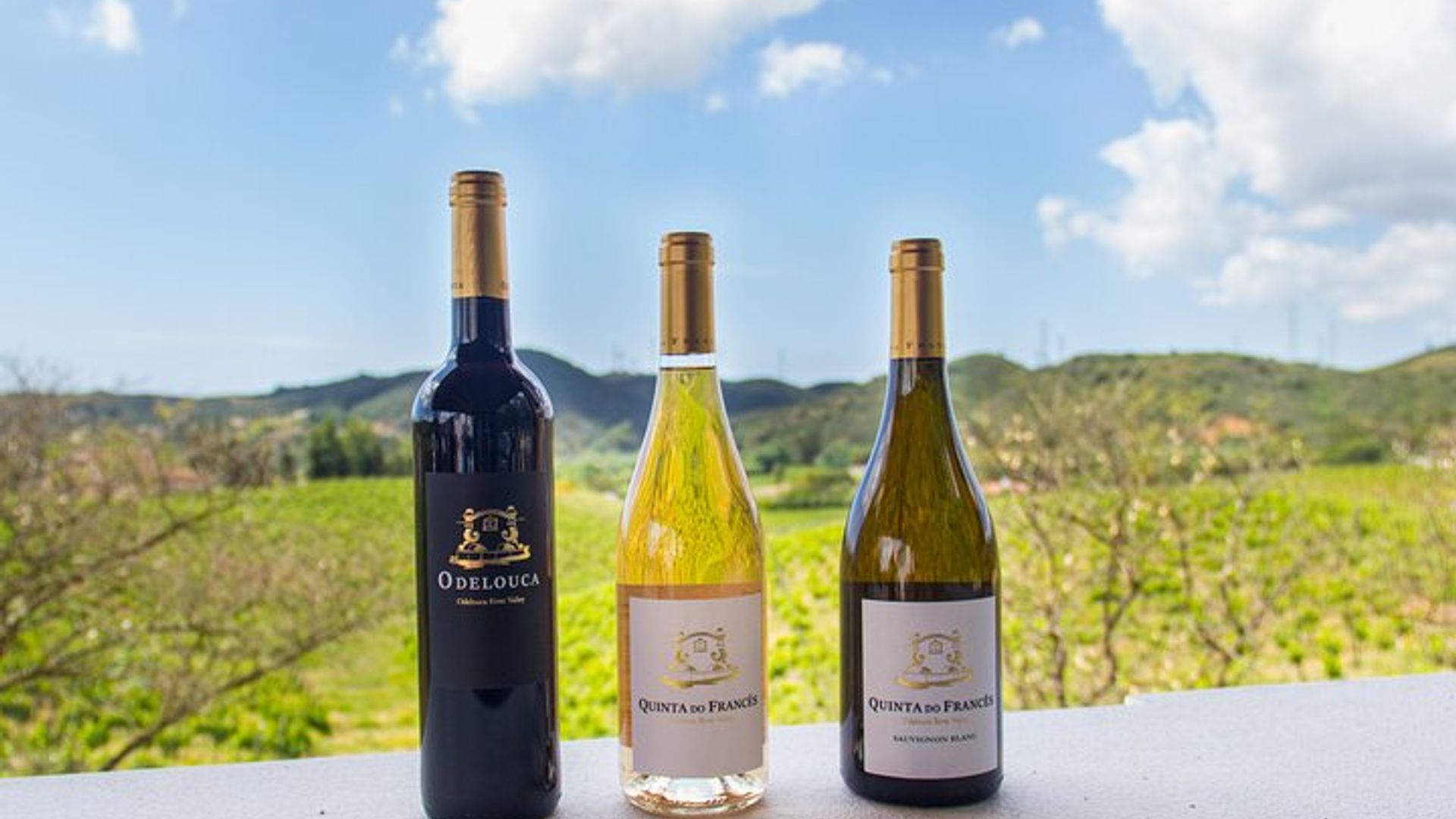 Dégustation de vin d'Albufeira : Visite de la cave Boutique & Silves historiques