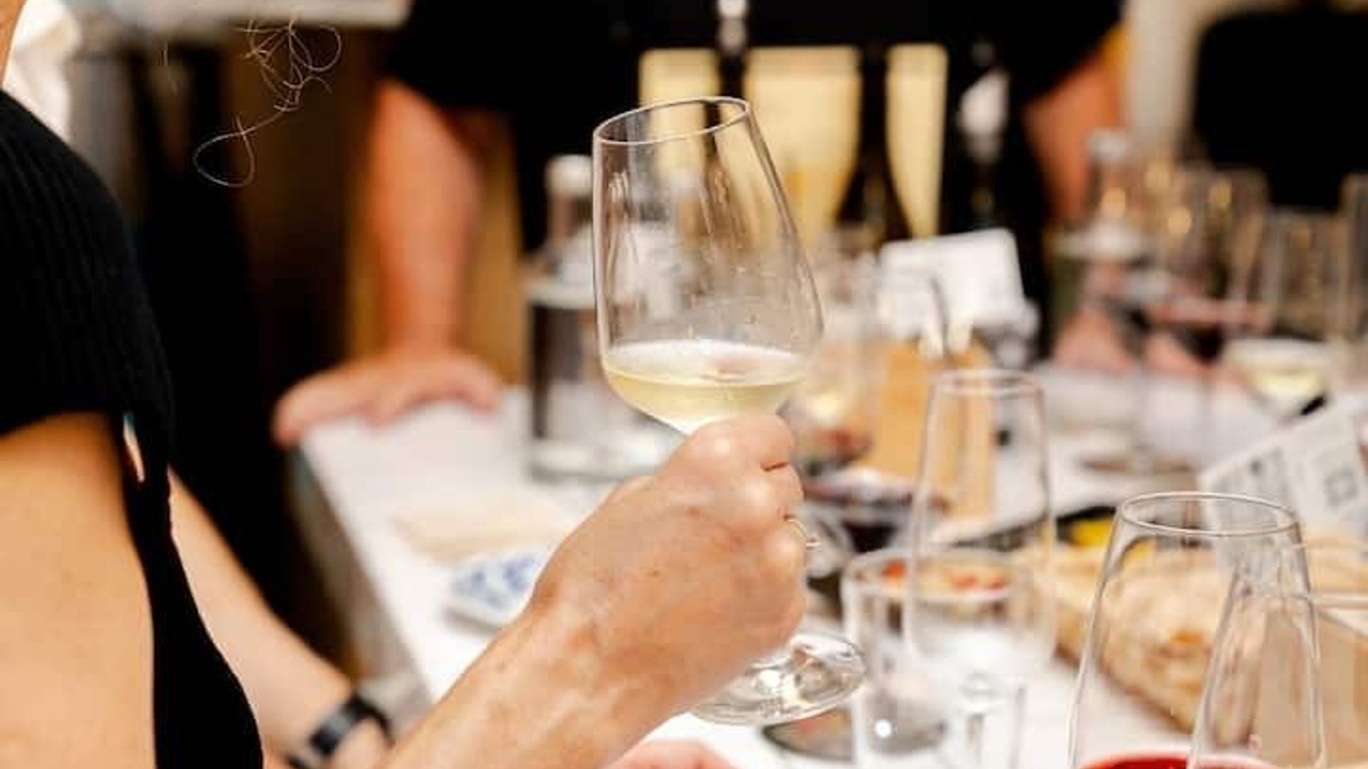 Premium Wine Tasting in Barcelona