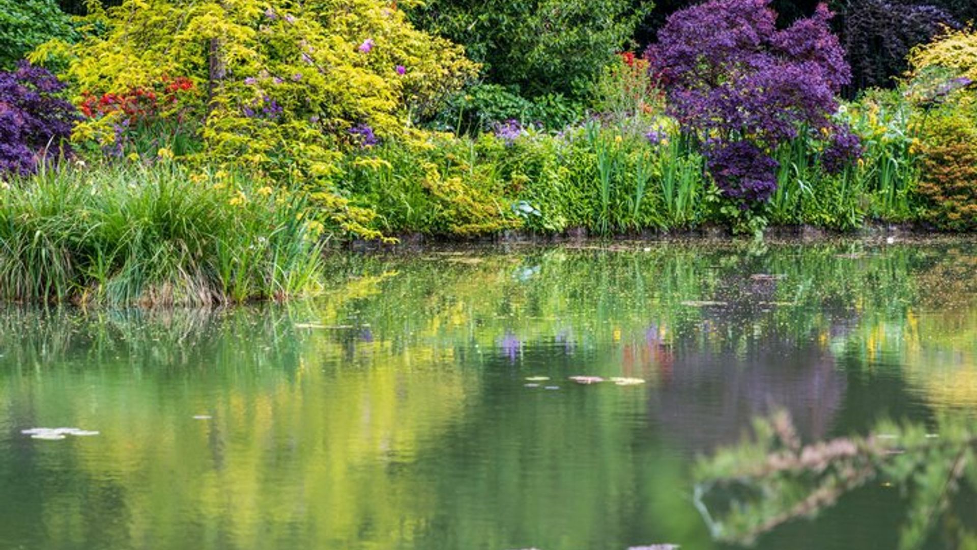 Visite privée de Giverny au départ du Havre avec prise en charge