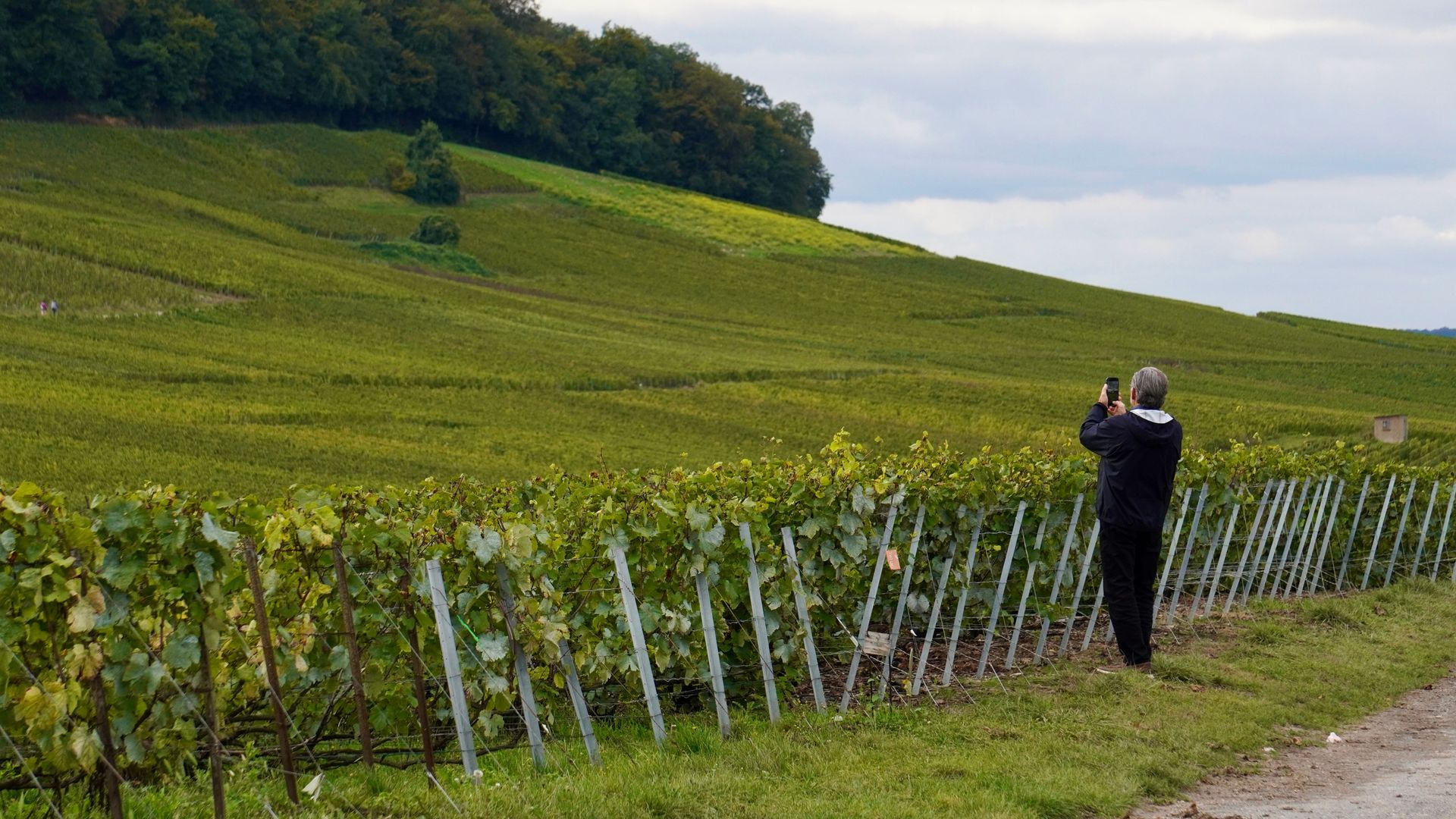 Full day Veuve Clicquot, family growers & traditional lunch from Epernay
