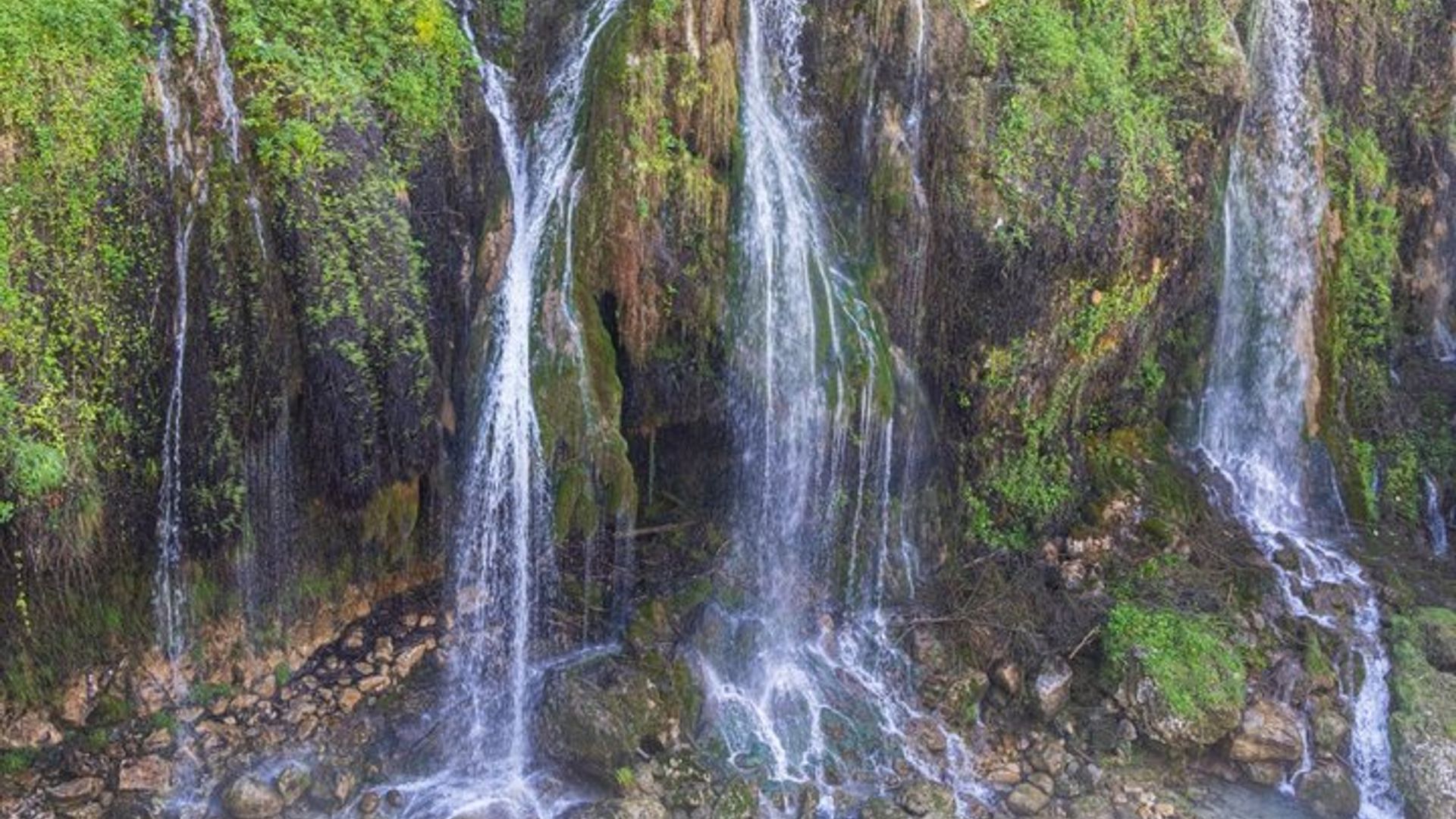 Tour privado por la garganta de Verdon y la Provenza