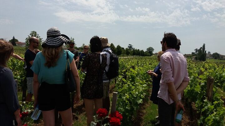 Saint Emilion Wine Tour Tasting Half Day from Bordeaux