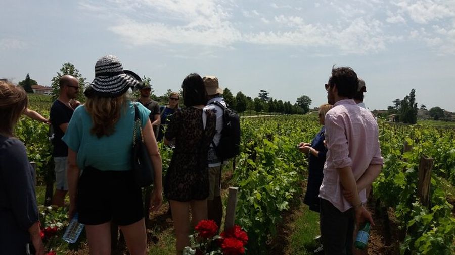 Saint Emilion Wine Tour Tasting Half Day from Bordeaux
