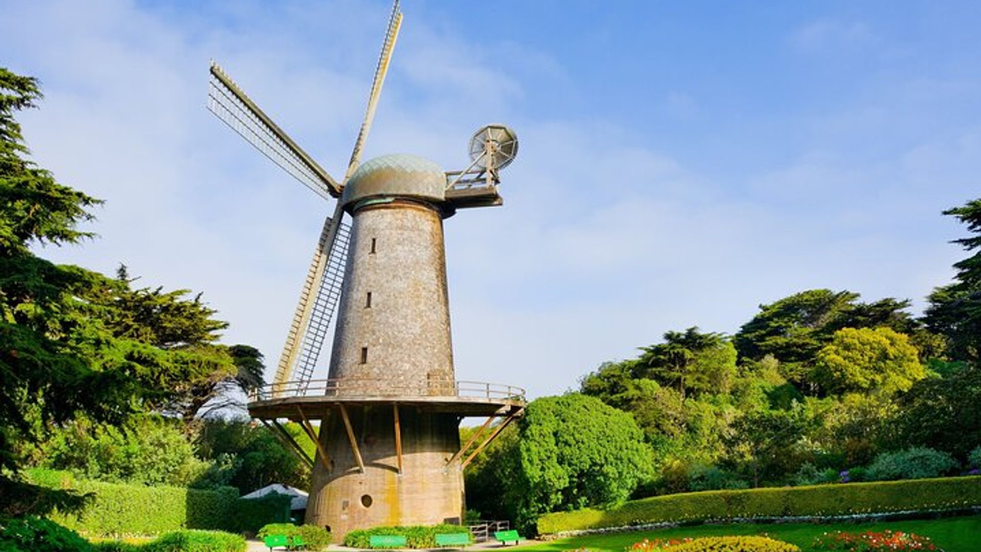 San Francisco Golden Gate Park Small-Group Tour image 2