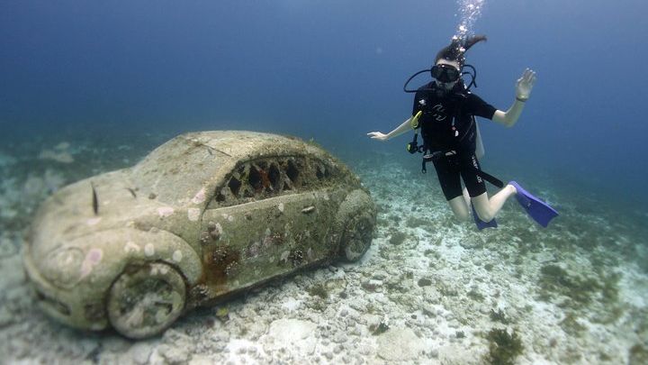 Isla Mujeres Small-Group MUSA Scuba Dive