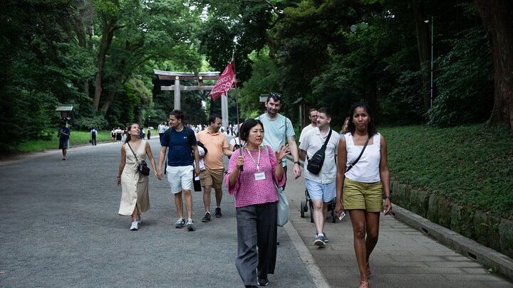 Harajuku Small-Group Walking Tour With Meiji Jingu Shrine