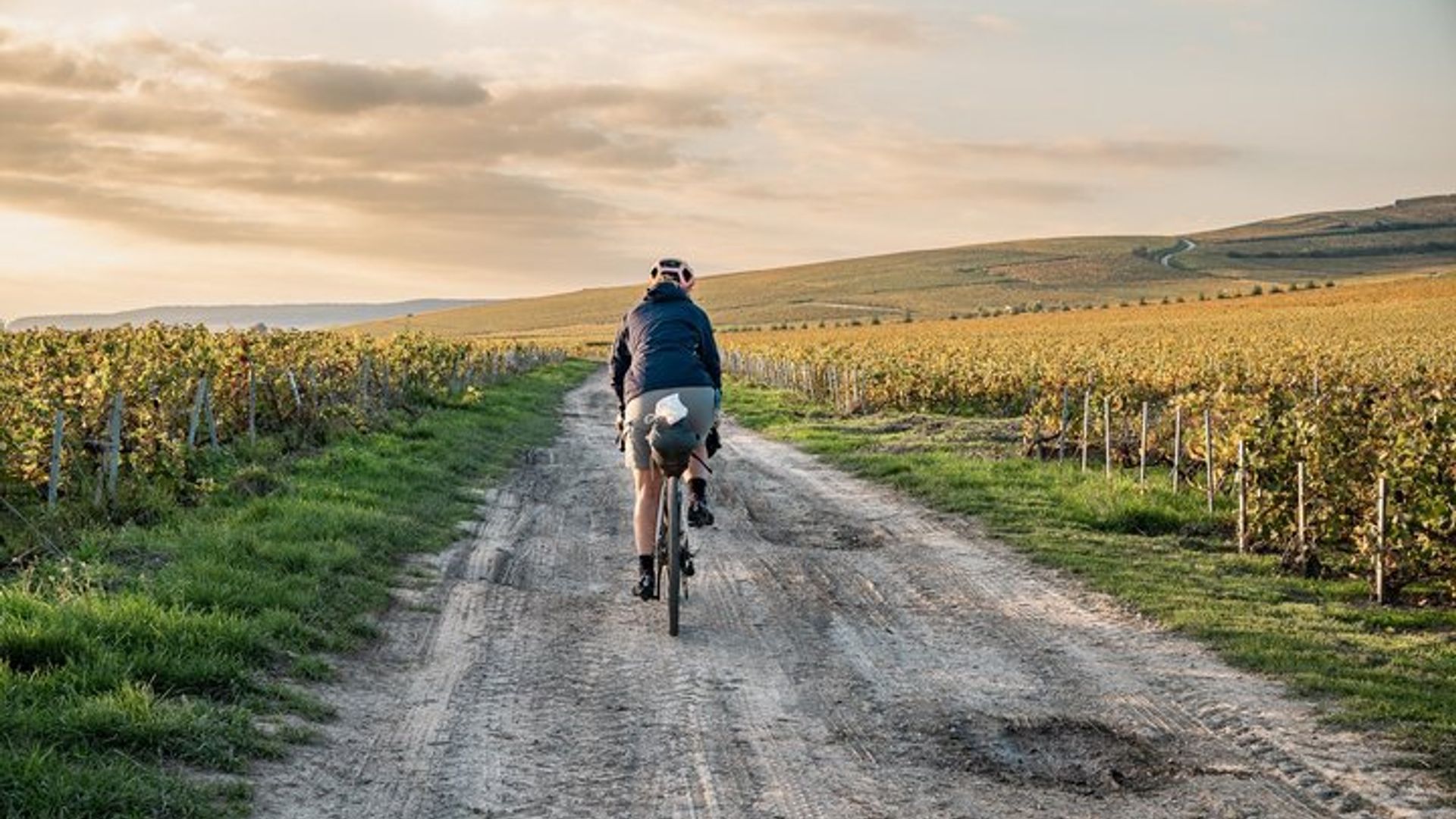 Excursión guiada en bicicleta con degustación entre Saint-Malo y Cancale (7 horas)