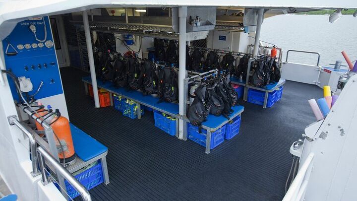 Cairns: Great Barrier Reef Snorkel and Scuba Tour with Lunch