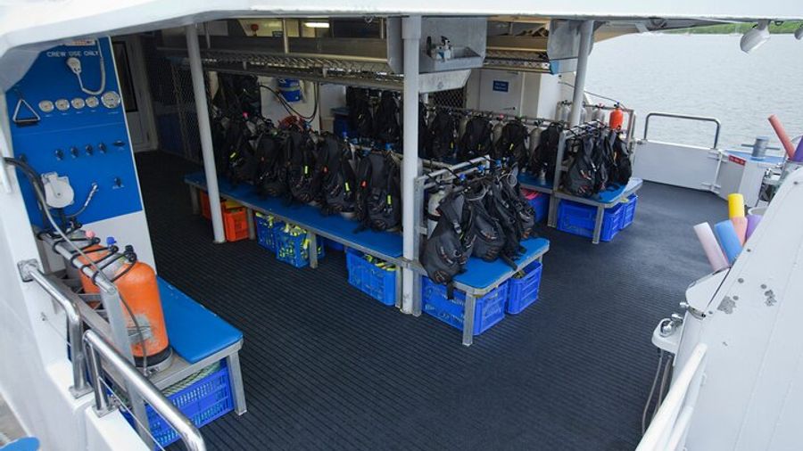 Cairns: Great Barrier Reef Snorkel and Scuba Tour with Lunch