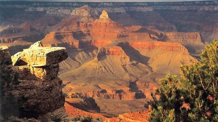 Grand Canyon South Rim Tour With Lunch From Flagstaff