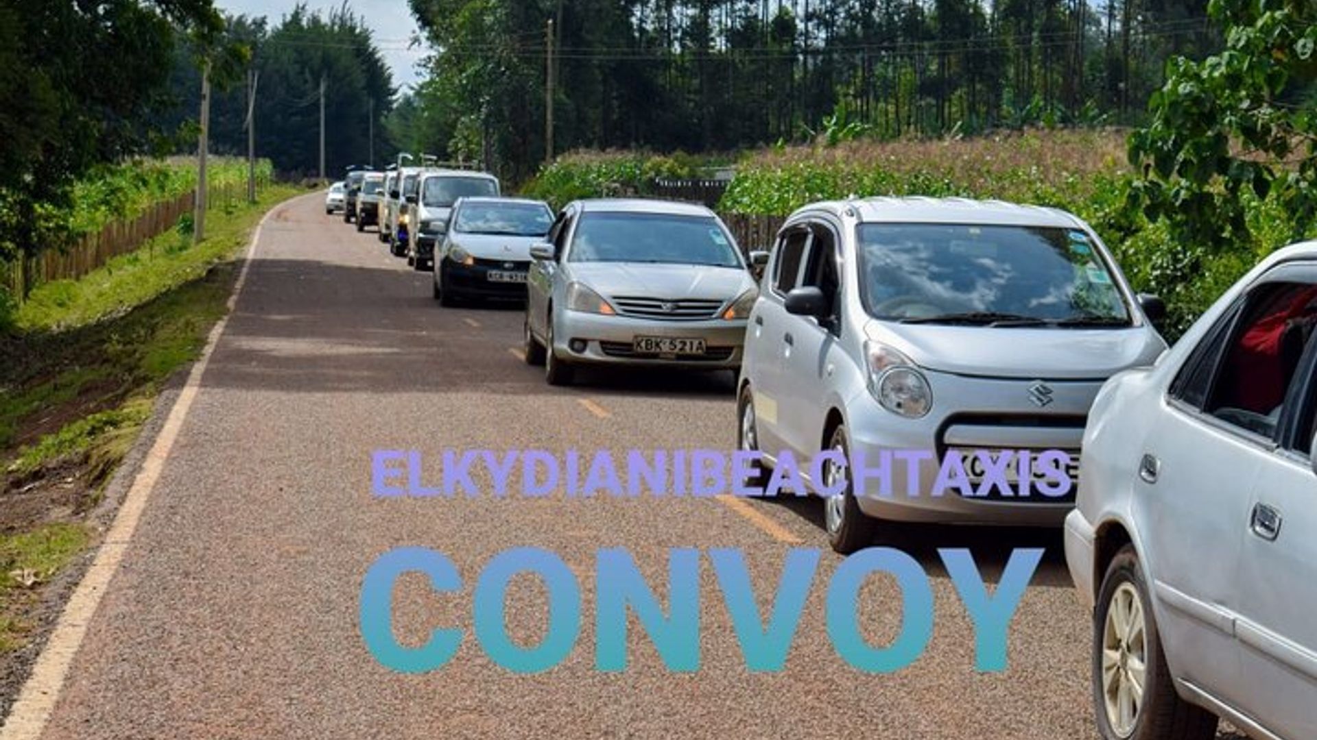 Elkydianibeachtaxis
