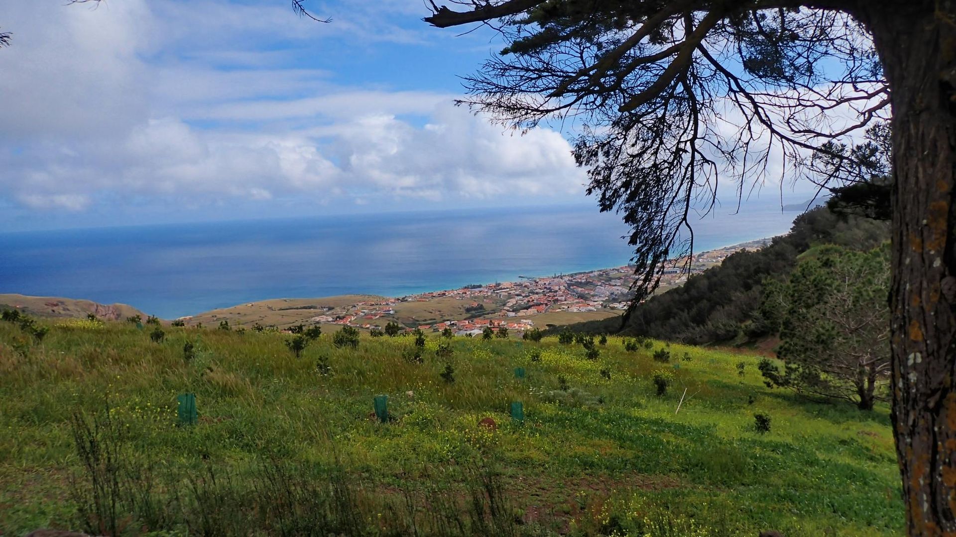 Porto Santo guided hiking tour
