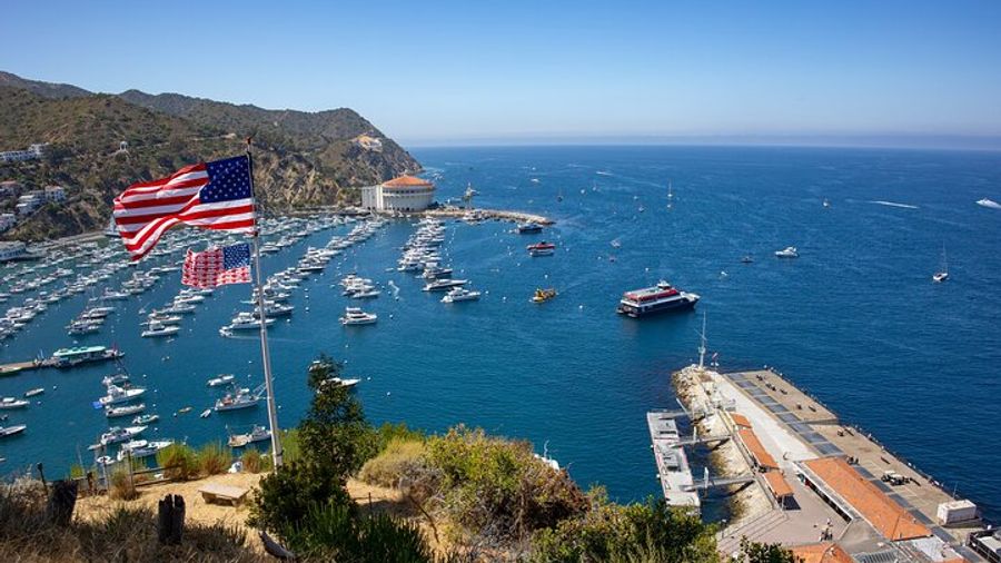 Catalina Island: Avalon City & Scenic Mt. Ada Tour