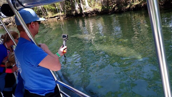 Crystal River Manatee Viewing Cruise