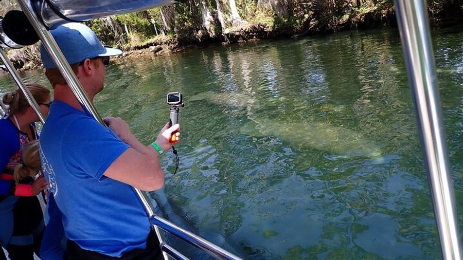 Crystal River Manatee Viewing Cruise