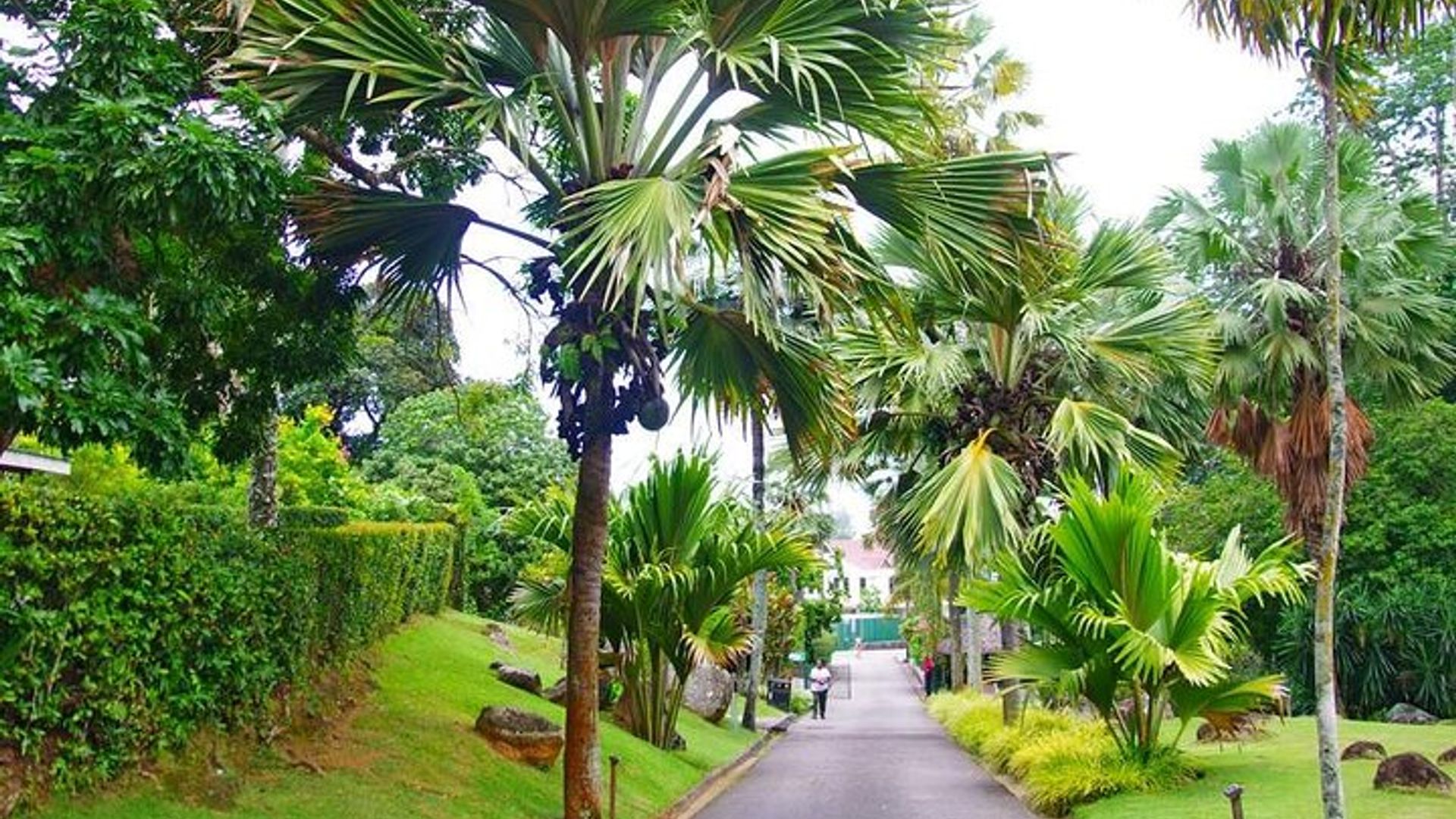 Private Mahe Island Half-Day Tour with Pick up