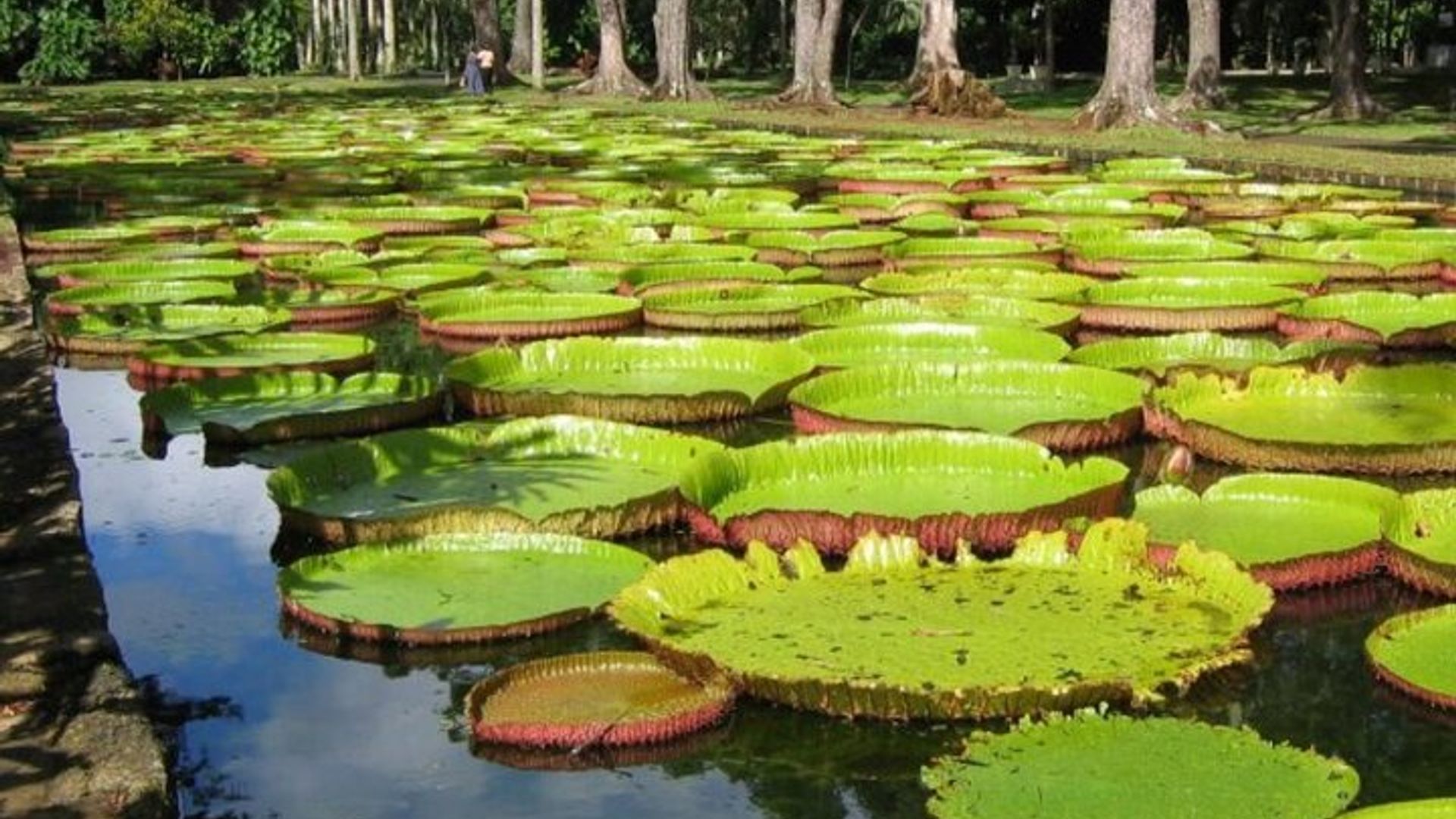 Mauritius Full-Day Private Island Tour