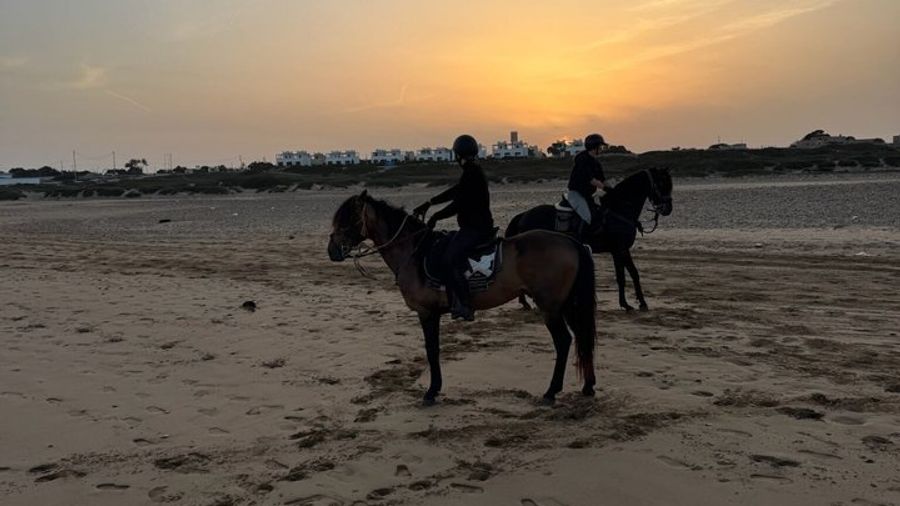 Scenic Horseback Adventure Along Essaouira’s Beaches