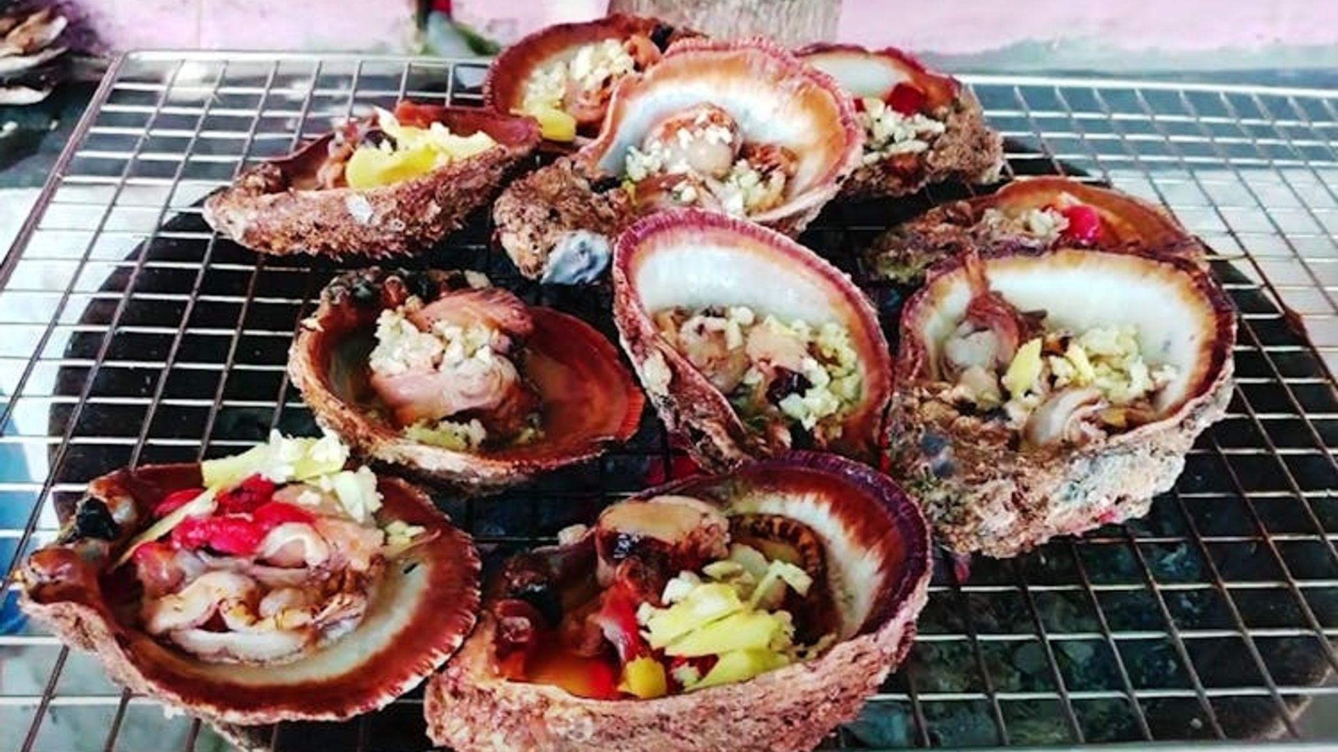 Full-day Cham Island Tour and Snorkeling