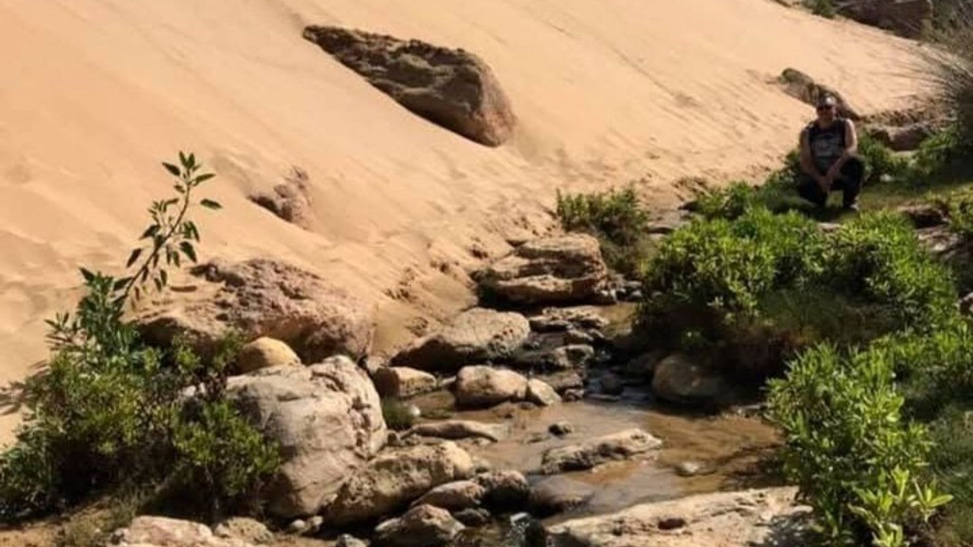 Randonnée Secrète au Cap Sim: vue panoramique entre Mer et Désert