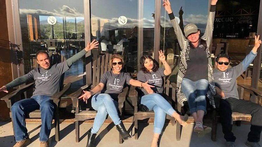 Baja California, Guadalupe Valley Wine Route and Museum Tour