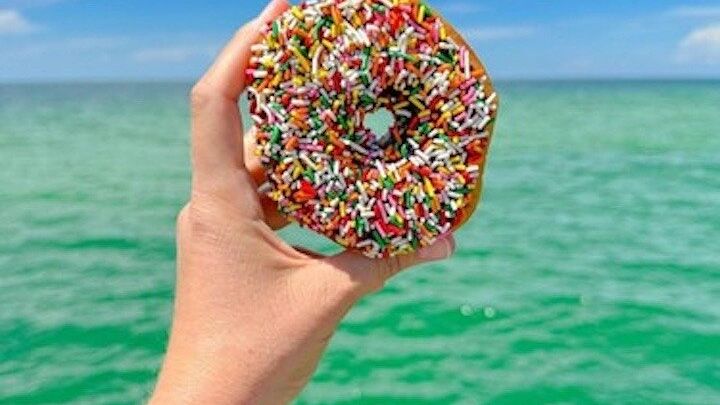 Hilton Head Small-Group Dolphins and Doughnuts Boat Tour