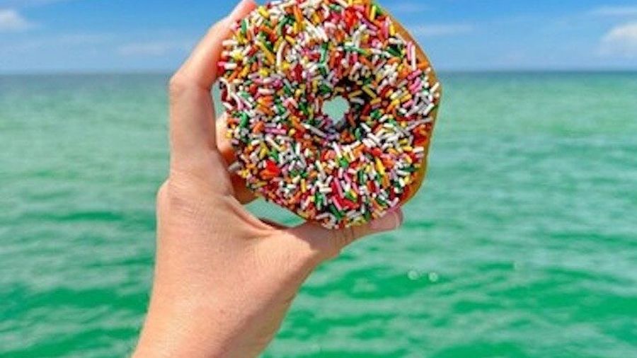 Hilton Head Small-Group Dolphins and Doughnuts Boat Tour