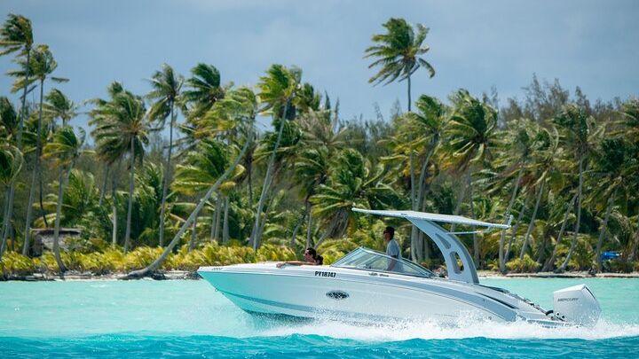 Reef Discovery Private Half Day Lagoon Tour