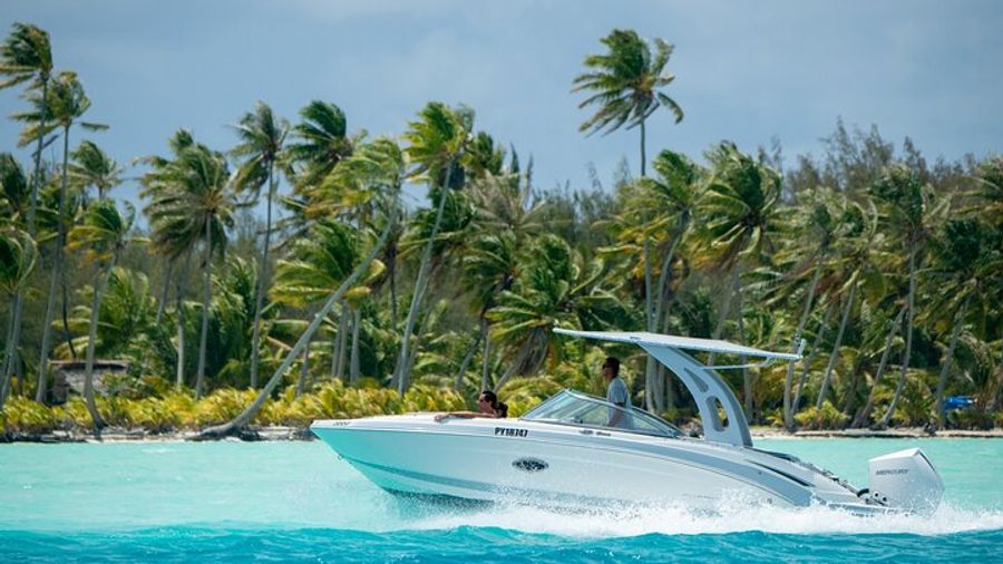 Reef Discovery Private Half Day Lagoon Tour