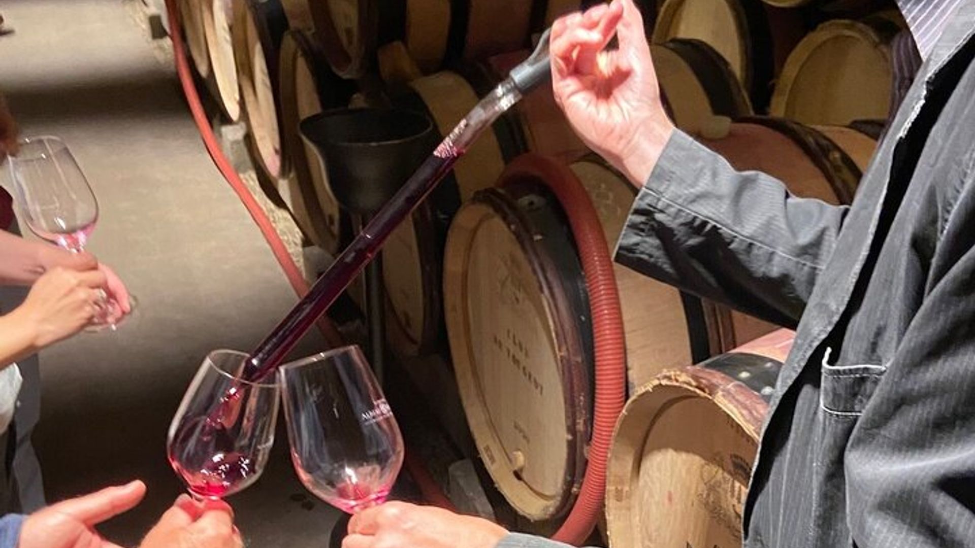 Dégustation d'une journée en Bourgogne Côte de Beaune et Nuits 15 Vins