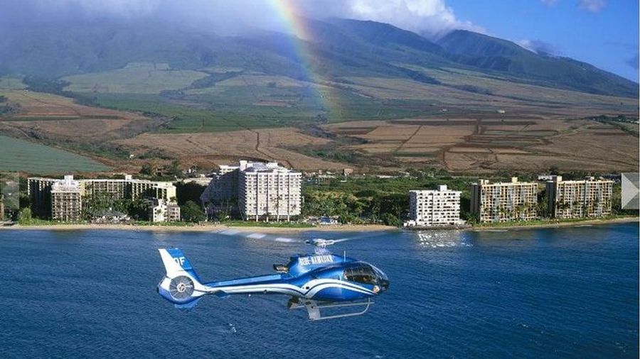 Maui Road to Hana Luxury Limo-Van Tour With Helicopter Flight