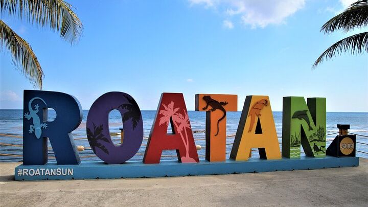Roatan Excursion: Sloths and monkey hang out /Chocolate & Rum C.